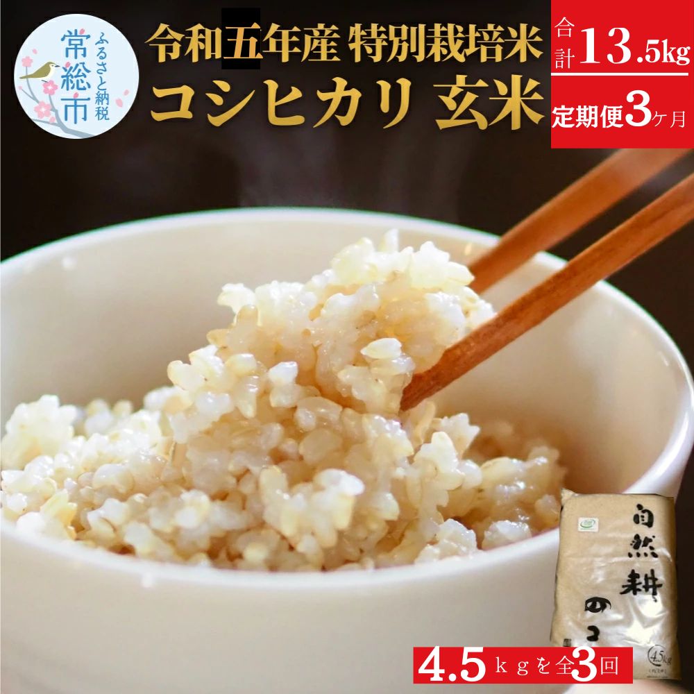 【ふるさと納税】定期便3ヶ月連続お届け 令和五年産特別栽培米コシヒカリ4.5kg 玄米 合計13.5kg お米 ライス 炭水化物 ご飯 主食 食卓 おにぎり お弁当