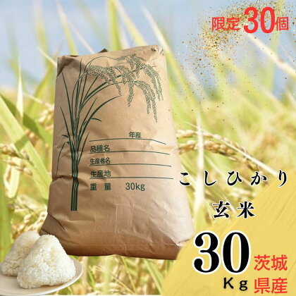 限定30個「300年のお米」茨城県産コシヒカリ30Kg 玄米 栄養 お米 こしひかり こめ ご飯 おむすび おにぎり 茨城 常総