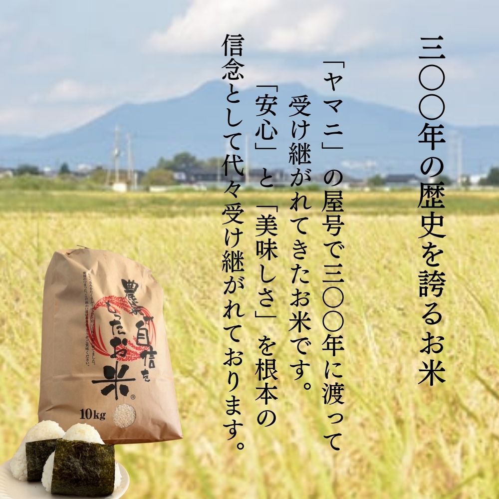 【ふるさと納税】限定30個「300年のお米」茨城県産コシヒカリ10Kg 玄米 栄養 お米 こしひかり こめ ご飯 おむすび おにぎり 茨城 常総