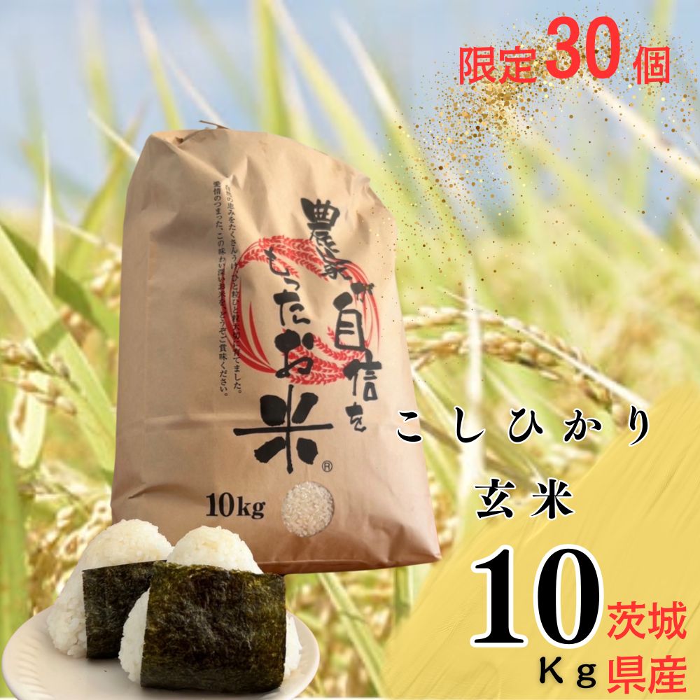 【ふるさと納税】限定30個「300年のお米」茨城県産コシヒカリ10Kg 玄米 栄養 お米 こしひかり こめ ご飯 おむすび おにぎり 茨城 常総