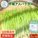 11位! 口コミ数「0件」評価「0」「9月発送分」 千姫 アスパラガス 丁寧にすべてを手作業で丹精を込めて作りあげた 自信のアスパラガス