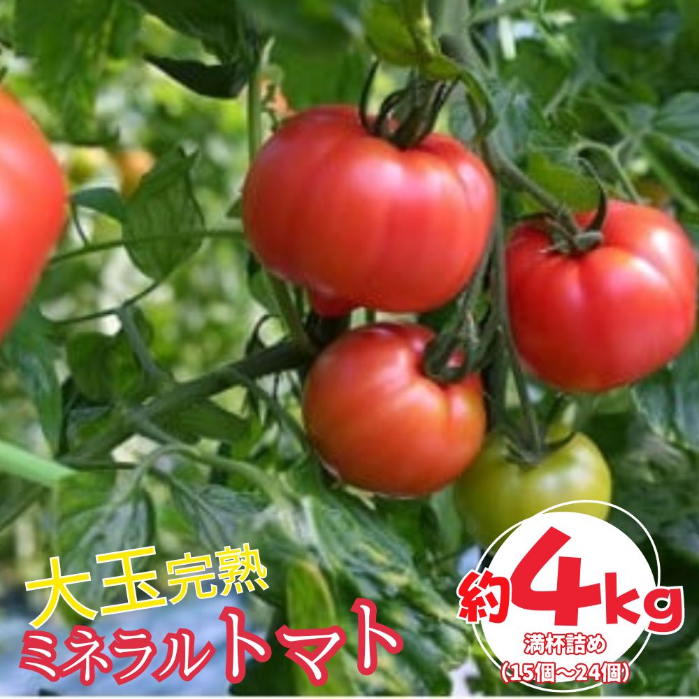 【ふるさと納税】ミネラルトマト（大玉完熟トマト）4kg満杯詰め（15個～24個）【大玉 甘味 甘い 濃厚 ミネラル 旬 茨城県 常総市】