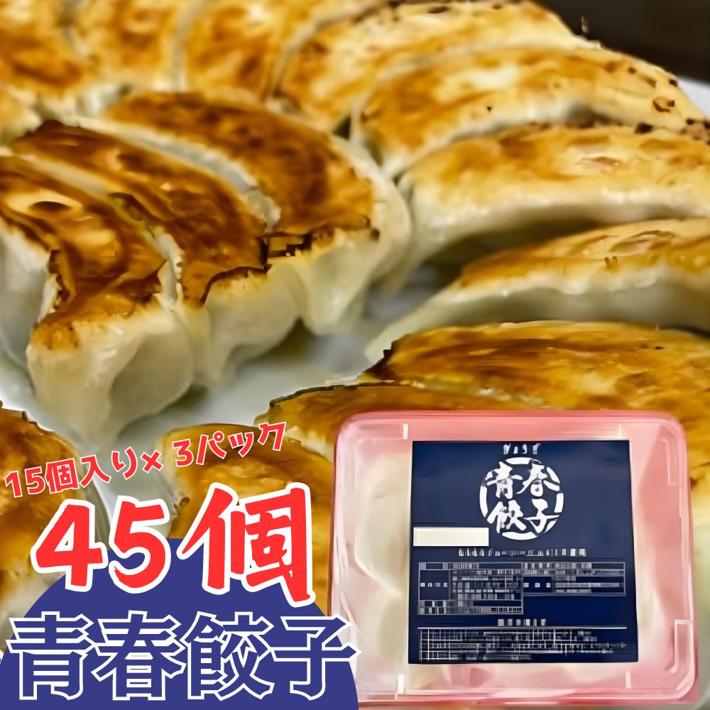 15位! 口コミ数「0件」評価「0」餃子専門店青春餃子のもちもち肉汁餃子15個入り×3パック 45個