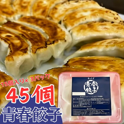 餃子専門店青春餃子のもちもち肉汁餃子15個入り×3パック 45個
