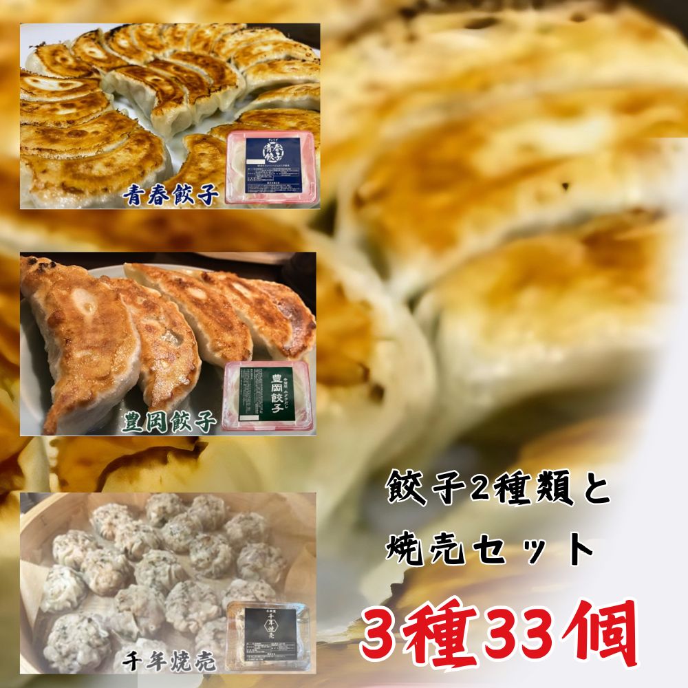 13位! 口コミ数「0件」評価「0」餃子専門店青春餃子 餃子2種類と焼売セット 3種33個