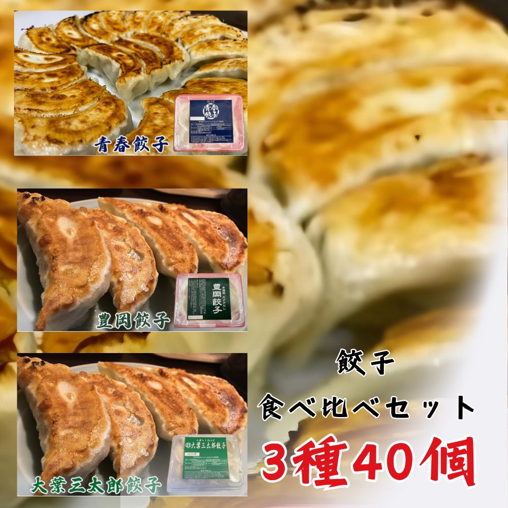 30位! 口コミ数「0件」評価「0」餃子専門店青春餃子 餃子食べ比べセット 3種40個