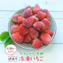 【ふるさと納税】【訳あり】冷凍いちご 1kg~3kg いちごイチゴ 苺 冷凍 シェイク スムージー 冷たい グランベリー大地 茨城県 常総市
