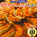 【ふるさと納税】\選べる配送回数/餃子専門店青春餃子 餃子食べ比べセット 3種40個 年末年始 お中元 お歳暮 内祝い 快気祝い