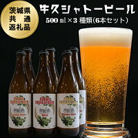 牛久シャトービール3種類（6本セット）(茨城県共通返礼品)