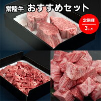 【定期便】常陸牛 おすすめセット 3ヶ月連続 定期便 お肉