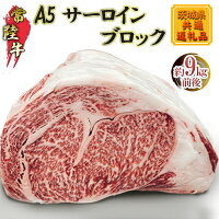 【常陸牛】A5サーロインブロック9kg前後(茨城県共通返礼品)