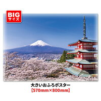 大きいおふろポスター[富士山と桜]マグネットシート製