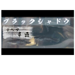 【ふるさと納税】下総めだかの学校厳選!ブラックシャドウ 2ペア4匹 生き物 鑑賞 年末年始 お中元 お歳暮 内祝い 快気祝い