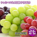 【ふるさと納税】飯田葡萄園　シャインマスカットと選りすぐりぶどうの食べ比べセット　約2.0kg（4房〜5房）　【 果物類 ぶどう マスカット フルーツ 果物 食べ比べ 約2.4kg 】　お届け：2022年9月上旬〜9月下旬
