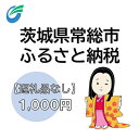 楽天茨城県常総市【ふるさと納税】茨城県常総市への寄附（返礼品なし）　【地域のお礼の品・返礼品・返礼品無し・発展・寄付】