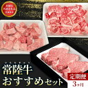 【ふるさと納税】【茨城県共通返礼品】茨城県産【定期便】常陸牛 おすすめセット 3ヶ月連続 定期便 お肉
