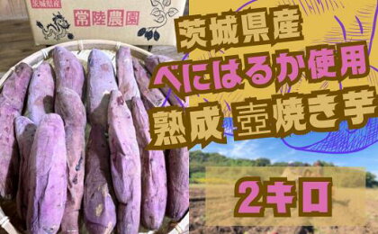 茨城県産 熟成 壺焼き芋 2kg 冷凍配送 | 茨城県 常陸太田市 国産さつまいも べにはるか 芋 焼き芋 低温 じっくり ほっこり しっとり ねっとり 芳醇 甘み 糖度 おいしい 香り おやつ スイーツ デザート