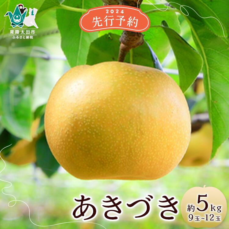 【ふるさと納税】《先行予約 数量限定》梨 あきづき 約5kg 9玉～12玉 | 茨城県 常陸太田市 梨 和梨 フルーツ あきづき 甘み 糖度 大玉 食べ応え 食感 しゃりしゃり 美味しい みずみずしい さっぱり 果汁 風味 デザート 限定 お取り寄せ ギフト 贈答品 父の日