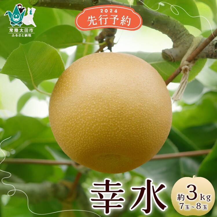 梨 【ふるさと納税】《先行予約 数量限定》梨 幸水 約3kg 7玉～8玉 | 茨城県 常陸太田市 梨 和梨 フルーツ 幸水 甘み 糖度 食べ応え 食感 しゃりしゃり 美味しい みずみずしい さっぱり 果汁 ジューシー 風味 デザート 限定 お取り寄せ ギフト 贈答品 父の日