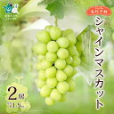 【ふるさと納税】《先行予約 2025年》シャインマスカット2房 約1.5kg | シャインマスカット ぶどう 産地直送 高級果物 お取り寄せ 新鮮 人気品種 デ...