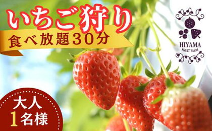 いちご狩り　食べ放題30分　大人1名様　チケット