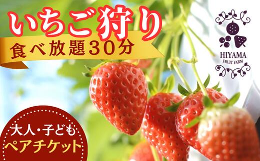 【ふるさと納税】いちご狩り　食べ放題30分　ペアチケット（大人1名様、子供1名様）