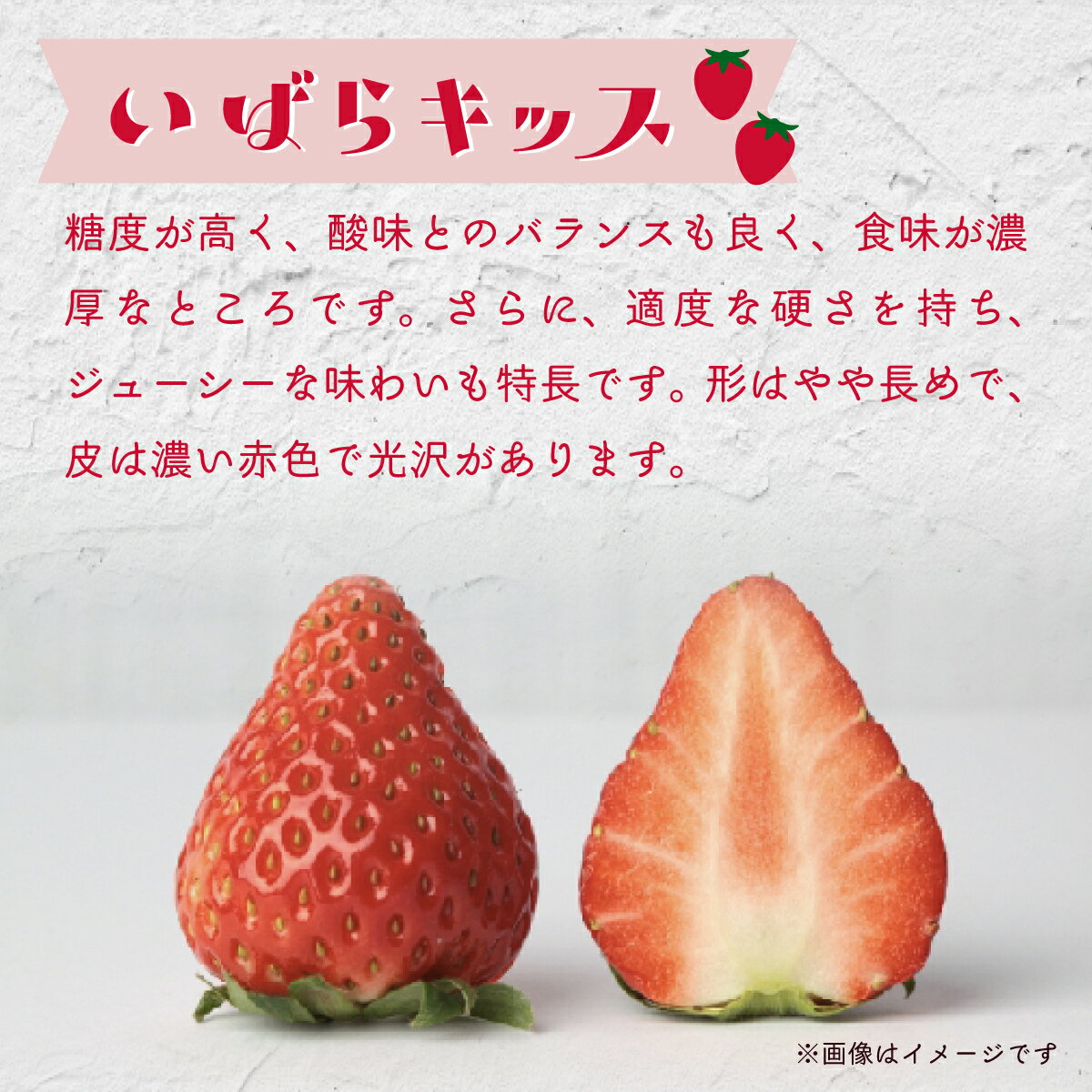 【ふるさと納税】いちご 平詰めデラックス いばらキッス 約280g×2パック 1箱 | いちご 苺 イチゴ いばらキッス ブランド苺 イチゴ いちご イチゴ いちご 新鮮 朝採れ フルーツ 大きい 果物 デザート 贈り物 人気 高級 ギフト お取り寄せ 完熟 はる農園 茨城県 常陸太田
