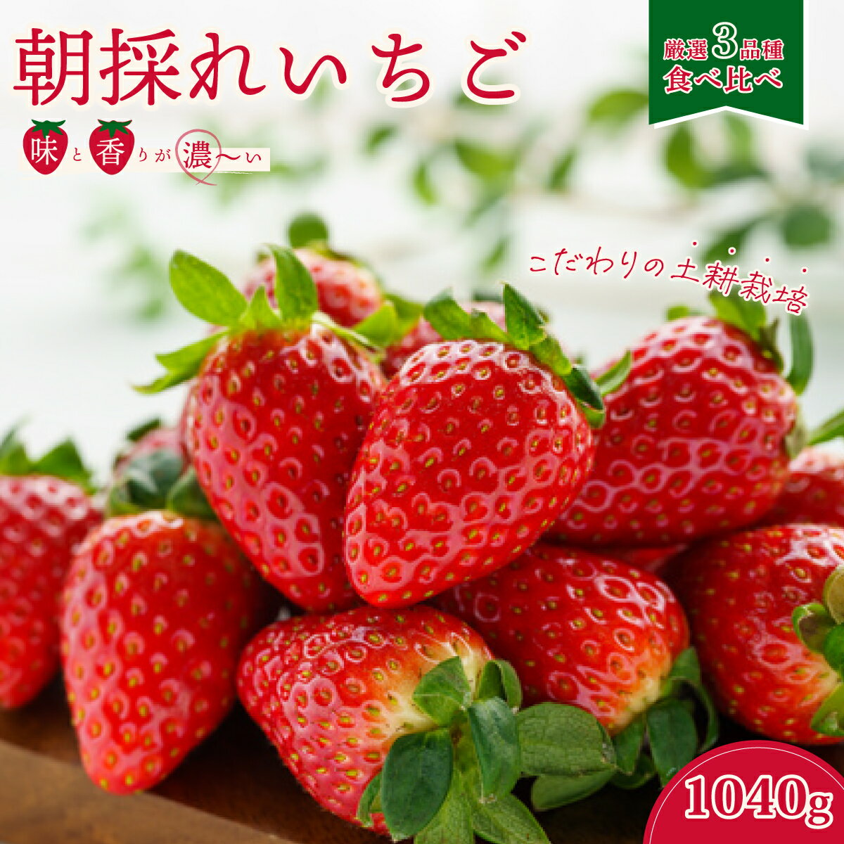 【ふるさと納税】【先行予約/2025年】いちご3種 食べ比べセット 4パック×1箱 《2025年1月以降順次発送》 ｜ 茨城県 常陸太田 檜山いちご園 香り 大粒 いちご土耕栽培 厳選 フルーツ 苺 イチゴ 新鮮 朝採れ 糖度 酸味 バランス 果肉 健康 果物 デザート 贈り物 食べ比べ 人気
