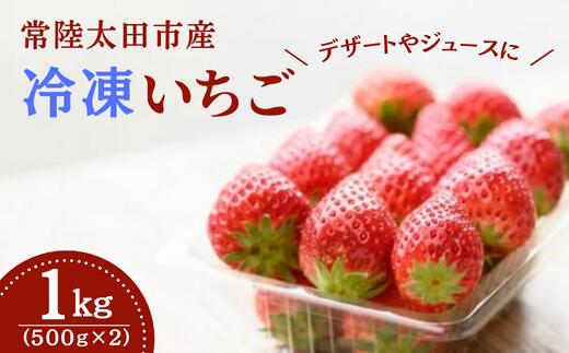 【ふるさと納税】【3か月定期便】冷凍いちご(1kg)500g×2袋 3か月 いちご農家さんからの直送品