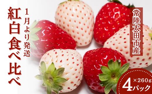 【ふるさと納税】紅白食べ比べ いちご 4パック × 1箱｜ 白いちご 珍しい 苺 イチゴ 食べ比べ 希少 香り..