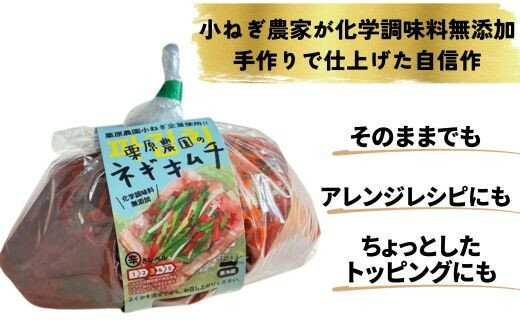 【ふるさと納税】小ネギ農家の本格ネギキムチ (徳用500g × 1袋）　手作り化学調味料無添加