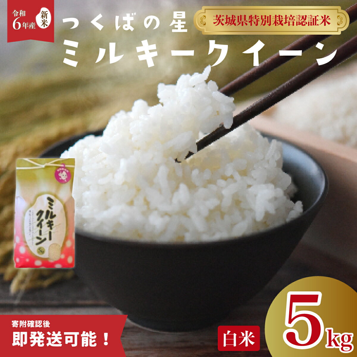 【ふるさと納税】【新米 即発送可】令和6年産 ミルキークイーン つくばの星 白米 5kg | 特別栽培認証米 希少品種 おいしい お米 精米 自然農法 米 5kg 令和6年産 自然栽培 お取り寄せ 安心 安全 美味しい米 もちもち ふっくら 減農薬 家庭用 茨城県 常陸太田市のサムネイル