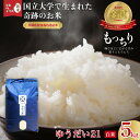 【ふるさと納税】《先行予約》令和7年産 ゆうだい21 常陸の瞳 白米5kg| 新米 米 大粒 もっちり 甘い ゆうだい21 宇都宮大学 コシヒカリ GAP認証 ...