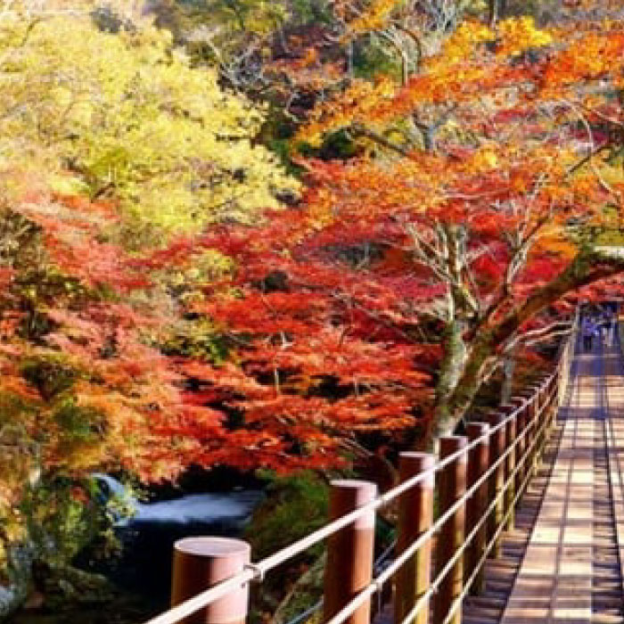 茨城県高萩市の画像3