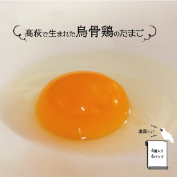 【ふるさと納税】【3ヶ月定期便】高萩で生まれた烏骨鶏のたまご（16個）