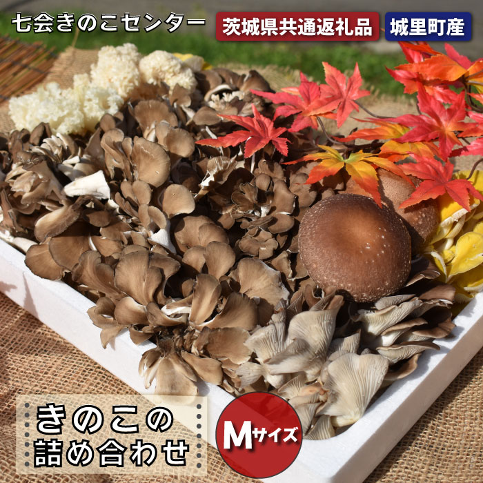 【ふるさと納税】きのこの詰め合わせ　 Mサイズ（茨城県共通返礼品・城里町産）