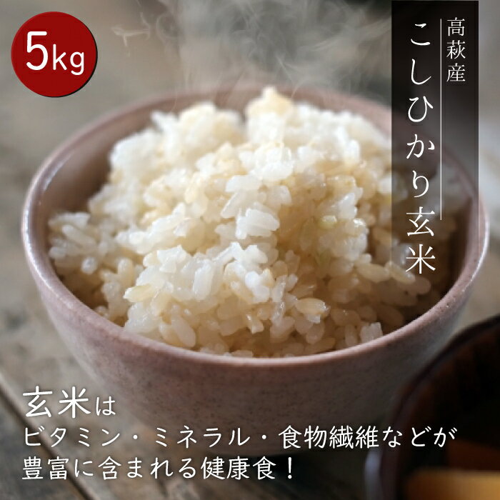 【ふるさと納税】高萩産　コシヒカリ　玄米　5kg