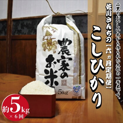 【6ヶ月定期便】令和5年度産　佐川さんちのこしひかり米　5Kg