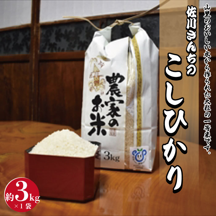 【ふるさと納税】佐川さんちのこしひかり米　3Kg【令和5年度