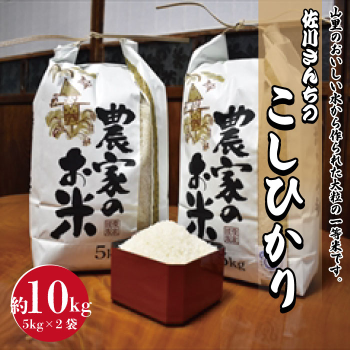 【ふるさと納税】佐川さんちのこしひかり米 10Kg【令和5年