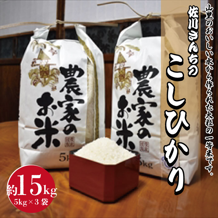 【ふるさと納税】佐川さんちのこしひかり米 15Kg【令和5年