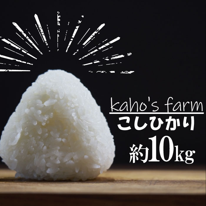 【ふるさと納税】【令和5年度産】コシヒカリ 10kg