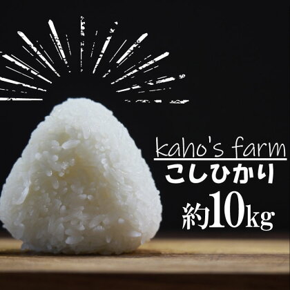 【令和5年度産】コシヒカリ 10kg