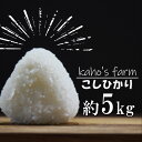 【ふるさと納税】【令和5年度産】コシヒカリ 5kg