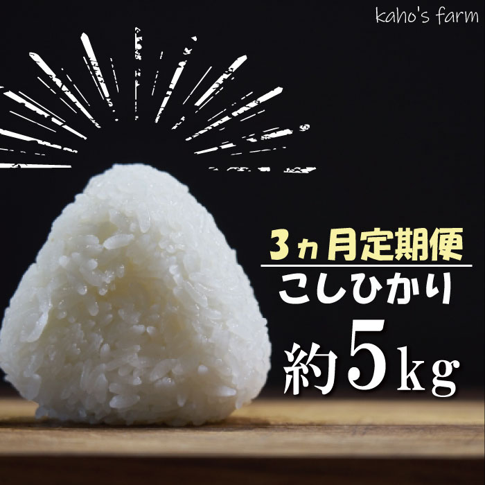 [3カ月定期便] コシヒカリ 5kg 令和5年度産