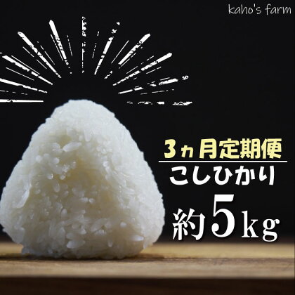 【3カ月定期便】 コシヒカリ 5kg　令和5年度産