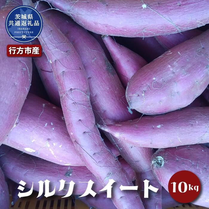 【ふるさと納税】さつまいも「シルクスイート」10kg(茨城県共通返礼品・行方市産)