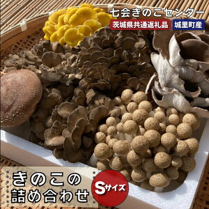 【ふるさと納税】きのこの詰め合わせSサイズ(茨城県共通返礼品・城里町産) きのこ セット 詰め合わせ はなびら茸 幻のキノコ 七会きのこ生産組合 茨城県 高萩市
