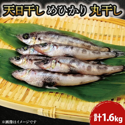 天日干し めひかり丸干し 200g×8パック（AI002）