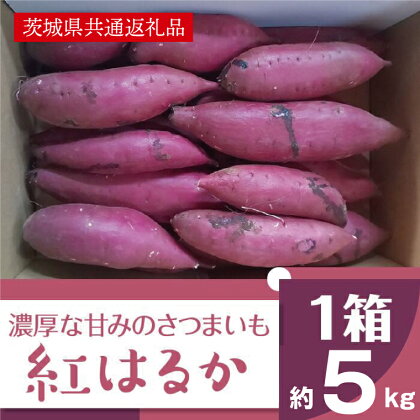 【11月発送開始】濃厚な甘みさつまいも 紅はるか5kg（茨城県共通返礼品・行方市産）（AK001）